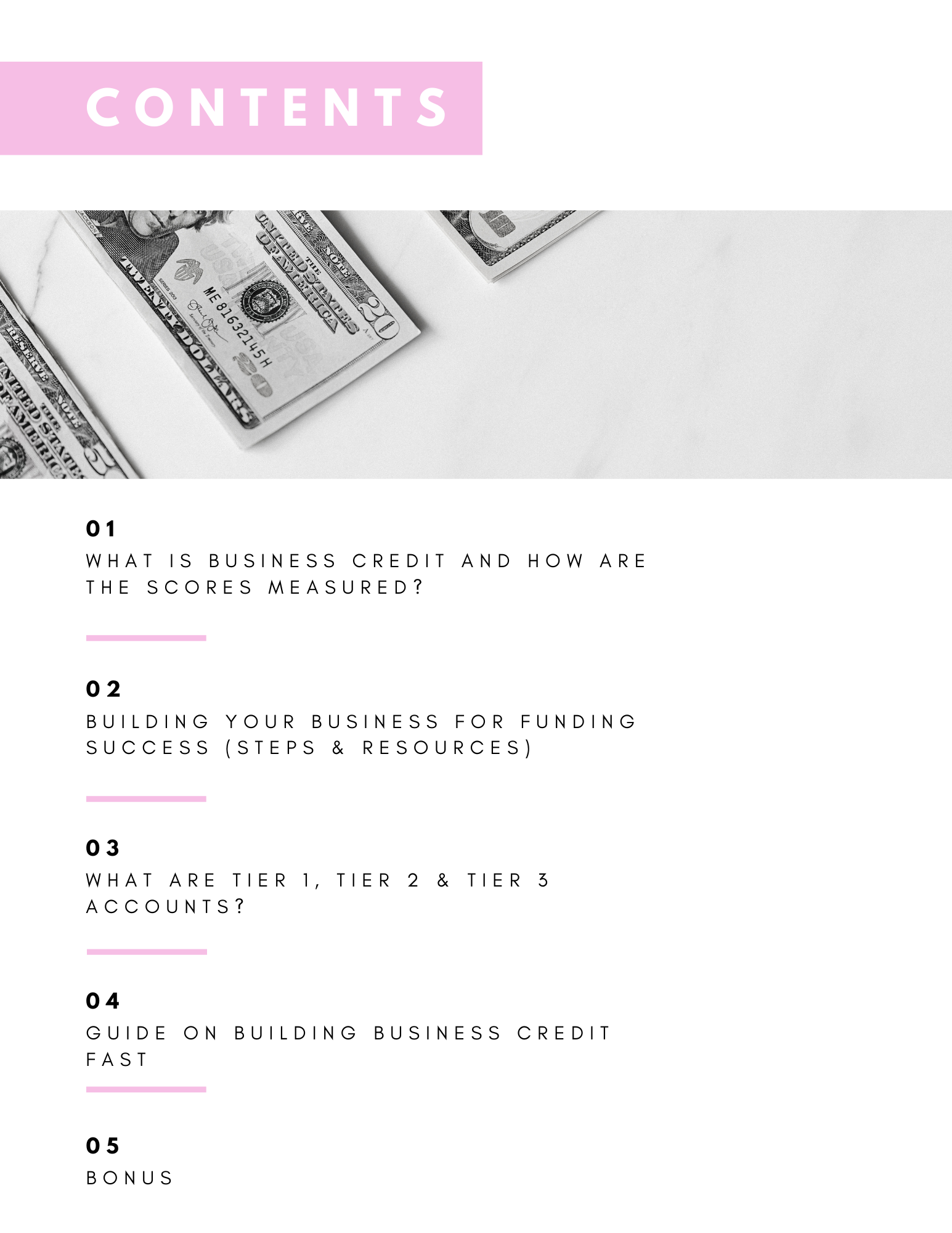 The Guide To Building Business Credit Ebook