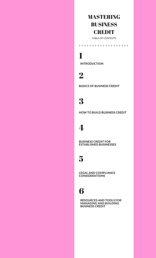 BUSINESS CREDIT 101