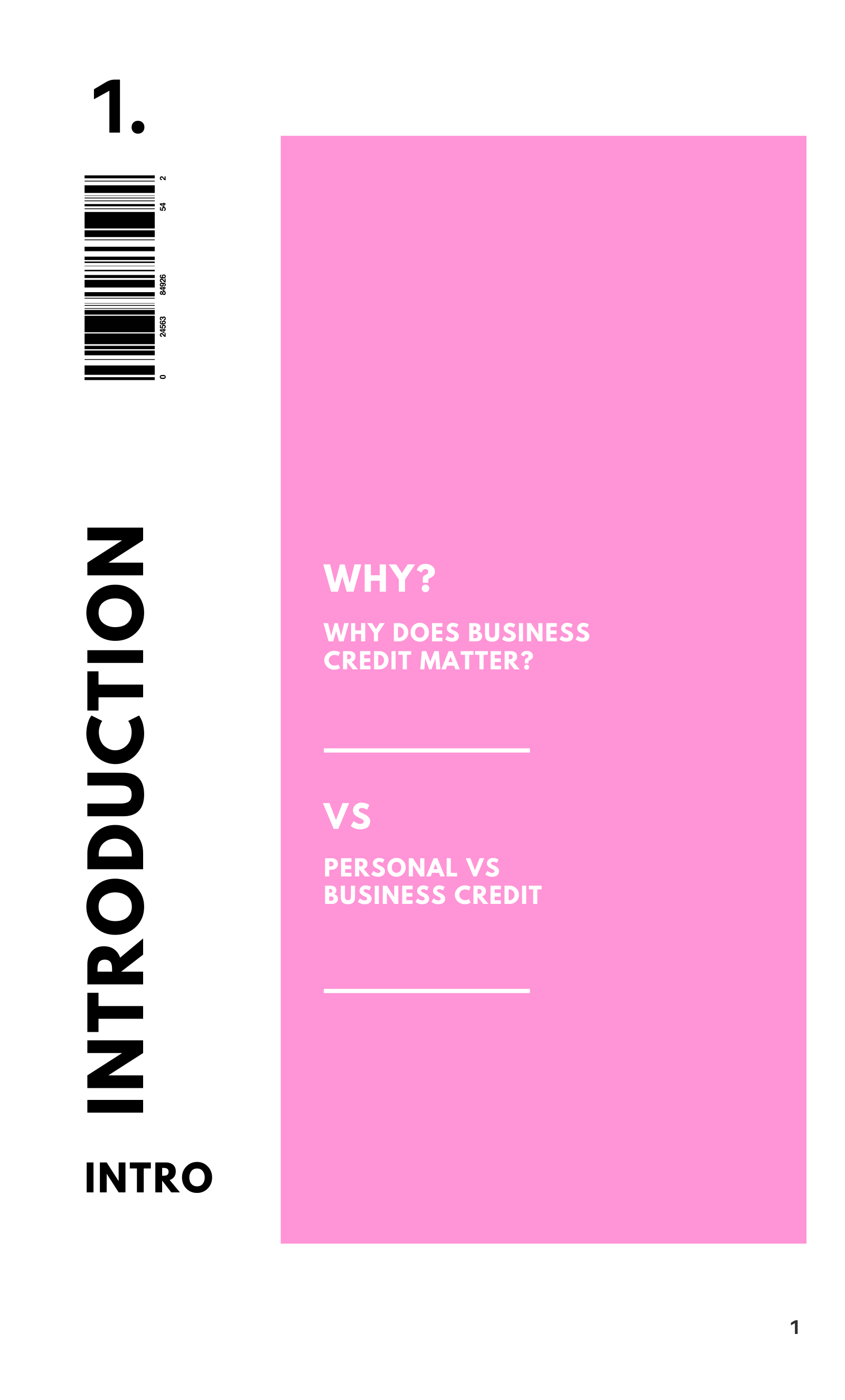 BUSINESS CREDIT 101